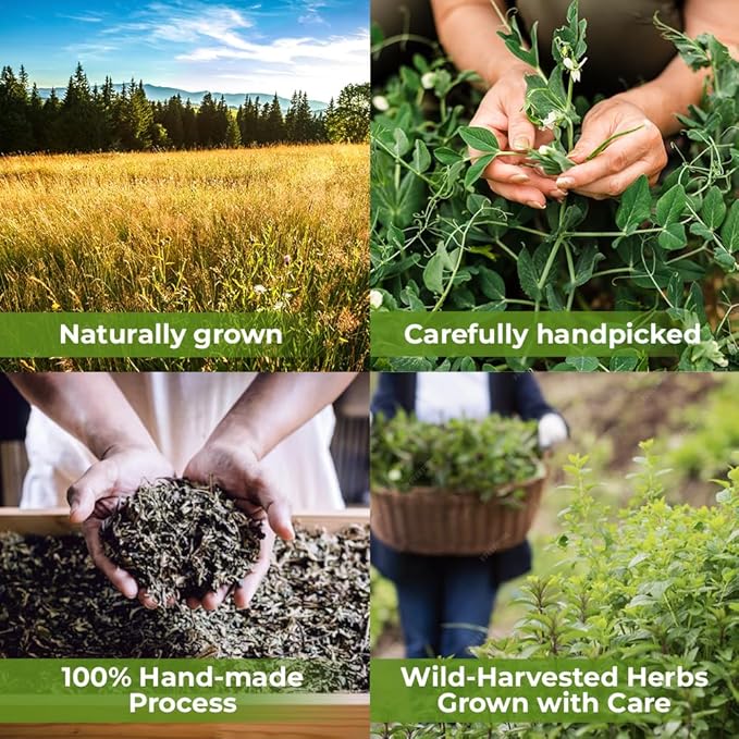 4 oz. Senna Leaf Senna Leaves Tea Bags Herbal Tea (Senna Alexandrina) - 113g Bags Hoja De Sen Hojas De Sen Para Te