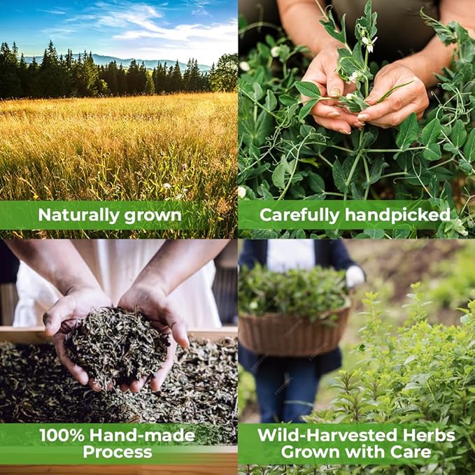 100 Bags Nettle Leaf Tea Ortiga Dried Nettle Herb Planta Bulk (Urtica Dioica) - 100 Count 1.5g Tea Bags Herb Hojas De Ortiga