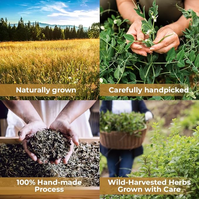 50 Bags Dried Anise Seeds Anaise Seeds Herb Tea (Pimpinella Anisum) - 50 Count 1,5 g Bags Anise Seed Herbal Tea Semilass De Anis