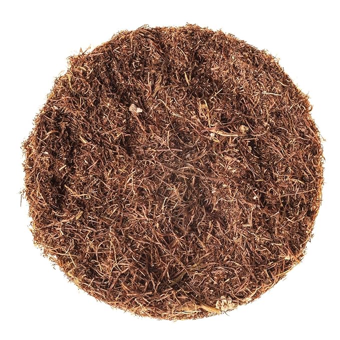 24 Bags Dry Corn Silk Tea Cornsilk Herb (Stigma Maydis) - 24 Count 2g Tea Bags Corn Silk Herbal Barba De Maiz (Barba De Elote)