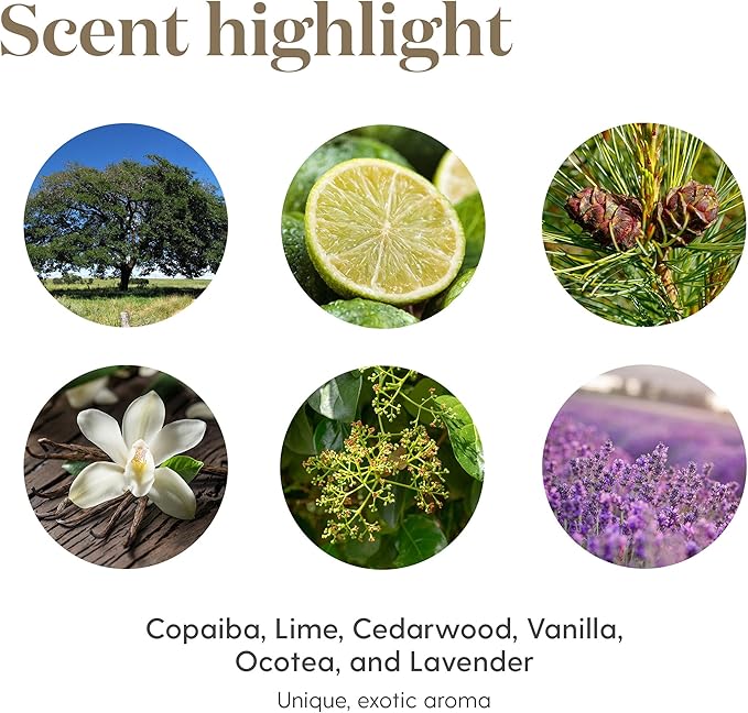 Young Living Essential Oil Blend | Refreshing & Soothing Aroma | 100% Pure Essential Oil for Home, Work, & Personal Use | Stress Away | 5 ml