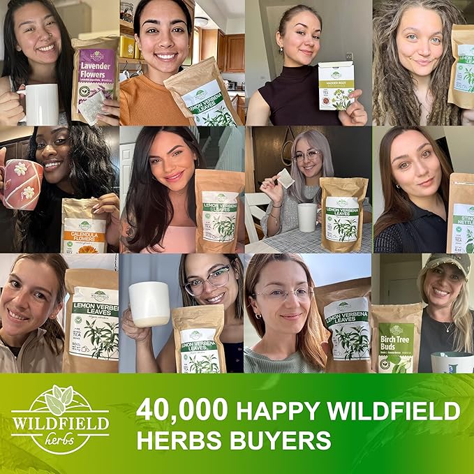 100 Bags Dried Mugwort Tea Mugwort Herb Dried Tea (Dried Artemisia Vulgaris Herb) - 100 Count 1.5g Bags Artemisa