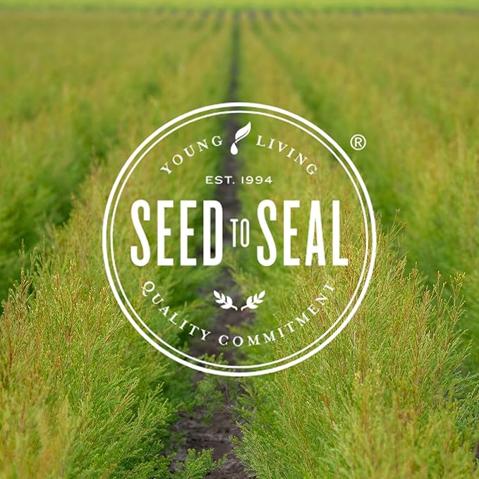 Young Living Essential Oil Blend | Refreshing & Soothing Aroma | 100% Pure Essential Oil for Home, Work, & Personal Use | Thieves Vitality | 5 ml