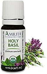Organic Holy Basil (Tulsi) Essential Oil; 100% Pure and Undiluted Ocimum Sanctum; Premium Quality Aromatherapy Oil; Tested and Verified, Size: 60mL (2 Fl. Oz.)
