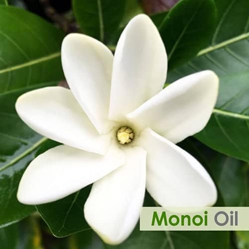 Salvia Monoi Oil - Pure Infused Oil for Hair and Skin Care | DIY Home Use - Stronger, Shinier Hair - 30 ML