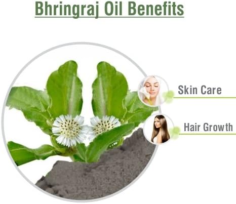 Salvia Bhringraj Oil (Eclipta alba) 100% Pure & Natural - Undiluted Uncut Cold Pressed Premium Oil Use for Aromatherapy, Skin Care & Hair - Therapeutic Grade (3.38 fl oz)