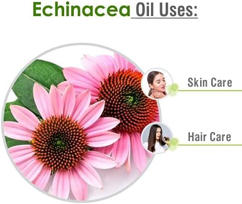Salvia Echinacea Oil Pure and Natural Echinacea Oil Extract | Hair Care (Clean, Smooth and Silky Hair) | Skin Care (Hydrate, Nourish, Protect Skin) - 30 ML echinacea_30ml
