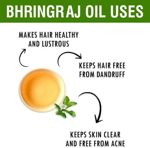 Salvia Bhringraj Oil (Eclipta alba) 100% Pure & Natural - Undiluted Uncut Cold Pressed Premium Oil Use for Aromatherapy, Skin Care & Hair - Therapeutic Grade (250 ML (8.45351))