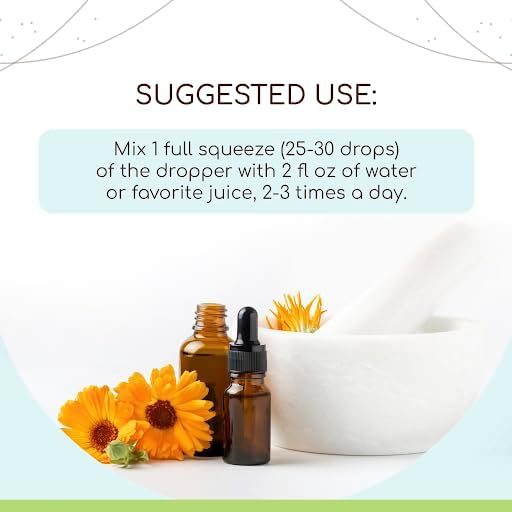 Schisandra B120 Alcohol-Free Herbal Extract Tincture, Concentrated Liquid Drops Natural Schisandra (Schisandra Chinensis) Dried Berry (4 fl oz)