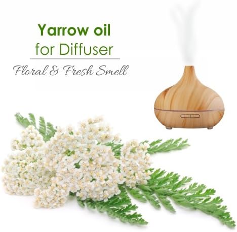 Yarrow Essential Oil (Achillea millefolium) 100% Pure & Natural - Undiluted Uncut Premium Oil -Therapeutic Grade- Use for Aromatherapy (50 ML)