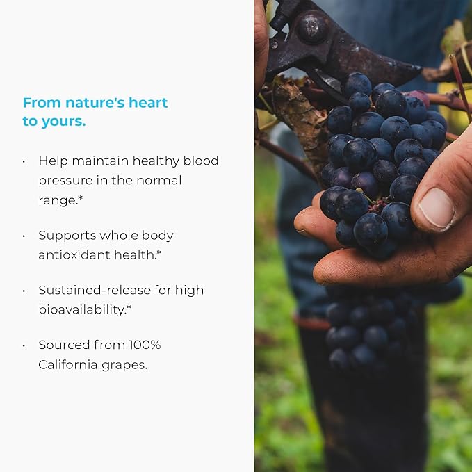 MegaNatural BP, Grape Seed Extract Supplements with Sustained-release California Grape Seed Extract Herbal Supplements for Optimized Absorption & Supports Energy, 150 mg, 120 Tablets
