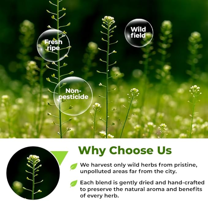 1.8 oz. Shepherds Purse Herb Bulk Herbal Tea Shepard Purse Herb (Capsella Bursa-Pastoris) - 50g Tea Bolsa De Pastor