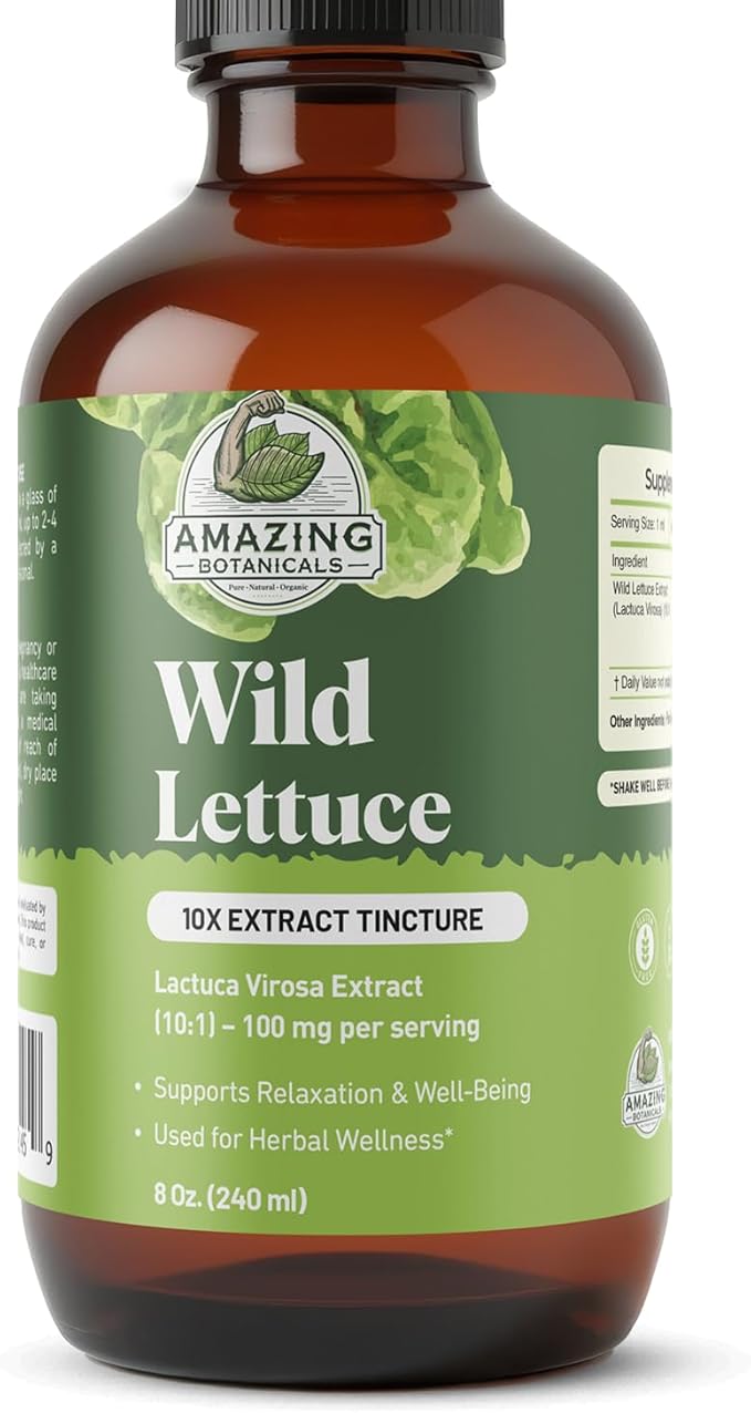 Amazing Botanicals Alcohol Free Wild Lettuce 10X Extract Tincture | Bulk Size | - USDA Organic Wild Lettuce (Lactuca Virosa) Dried Herb - 8 Fl oz