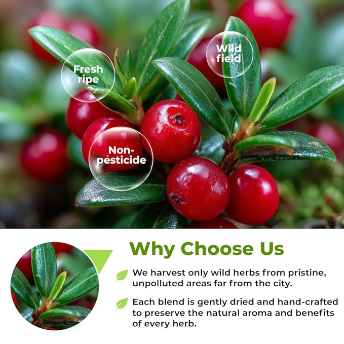 4 oz. Uva Ursi Leaf Uva Ursi Tea Herbal (Arctostaphylos Uva-Ursi) - 113g Uva-Ursi Herb Tea Arctostaphylos Uva-Ursi