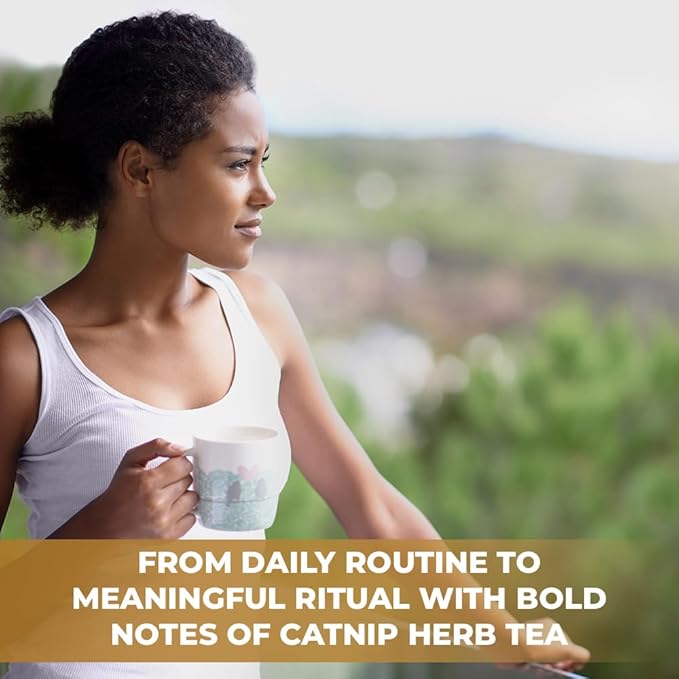 50 Bags Dried Anise Seeds Anaise Seeds Herb Tea (Pimpinella Anisum) - 50 Count 1,5 g Bags Anise Seed Herbal Tea Semilass De Anis