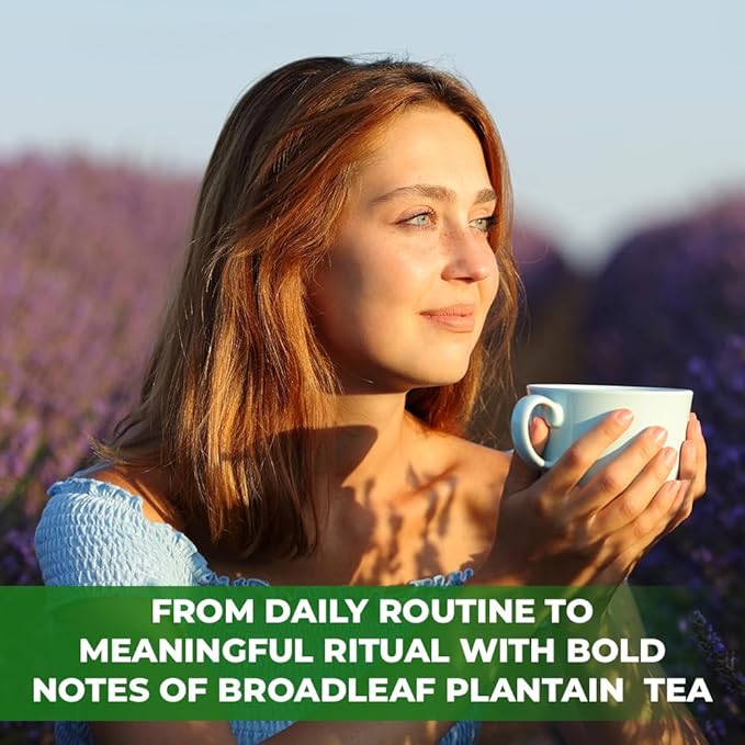 50 Bags Broadleaf Plantain Leaf Herb Tea (Plantago Majoris Folia) Plantain Leaves Tea - 50 Count 1.5 g Bags Llanten