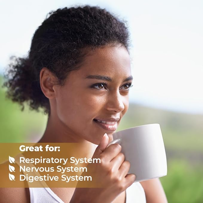 50 Bags Dried Anise Seeds Anaise Seeds Herb Tea (Pimpinella Anisum) - 50 Count 1,5 g Bags Anise Seed Herbal Tea Semilass De Anis