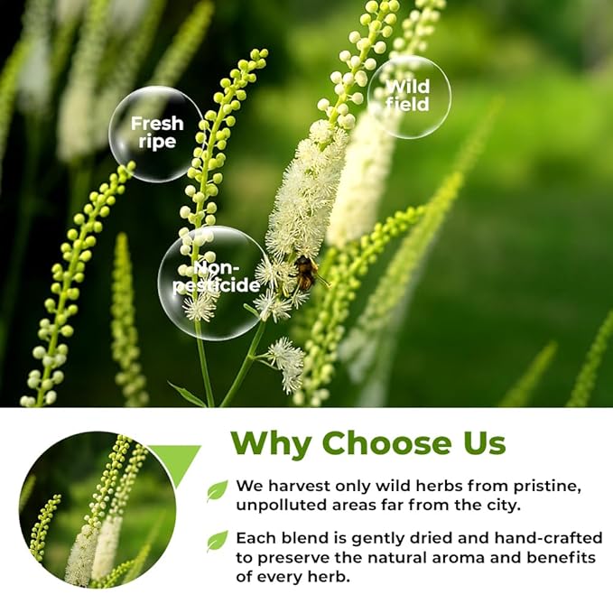 50 bags Black Cohosh Tea Black Cohosh Root Herbal Tea (Actaea racemosa) - 50 Count 2 g Tea Bags Herb Tea Cohosh