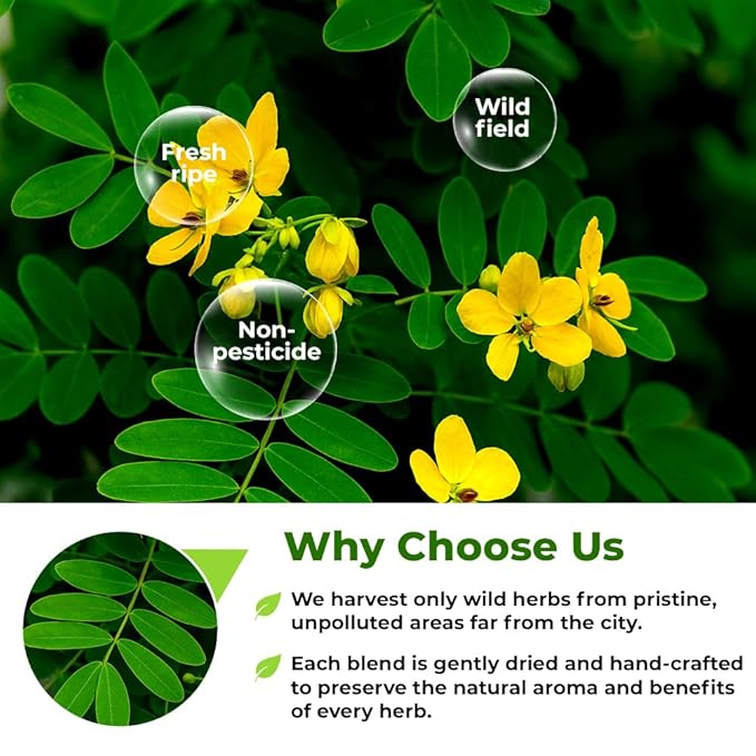 4 oz. Senna Leaf Senna Leaves Tea Bags Herbal Tea (Senna Alexandrina) - 113g Bags Hoja De Sen Hojas De Sen Para Te