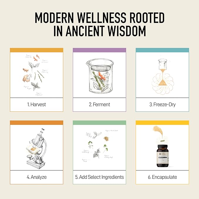 Living Alchemy Gut Health Supplements for Men & Women - Your Flora Probiotic Professional Digestion Supplement with Fermented Soybean, Prebiotics, Digestive Enzyme - Vegan, Non-GMO, 60 Pcs