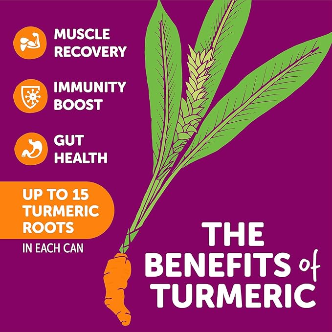 ZYN Turmeric Wellness Drink (24 Pack), Pomegranate Cranberry Flavored Turmeric Curcumin Drink with Black Pepper, No Added Sugar, Low Carb & Low Calorie Drink, Clean Alternative