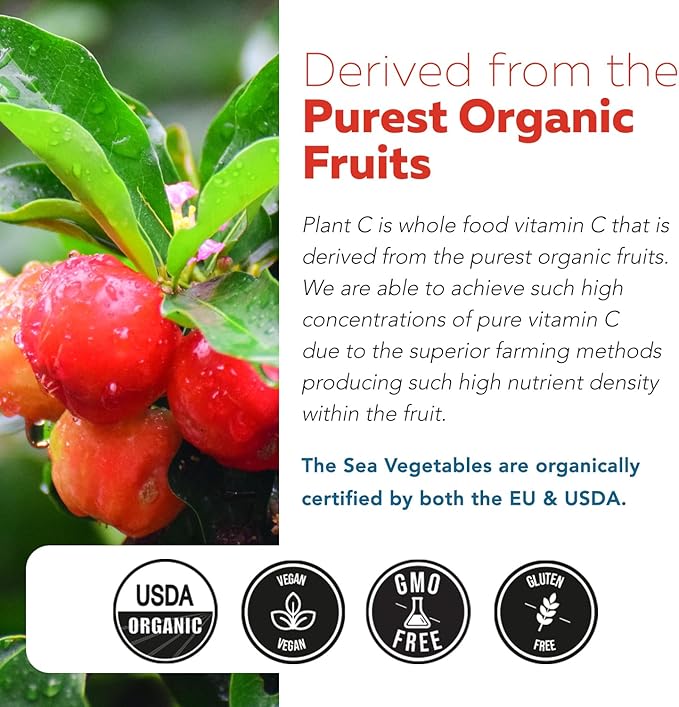 Organic Vitamin C | Whole Food Vitamin C from Fruit Plus Absorption Enhancing Cofactors - Vegan, Enhanced Bioavailability - Immune Support, Antioxidant, Total Health (90 Servings) - 2-Pack