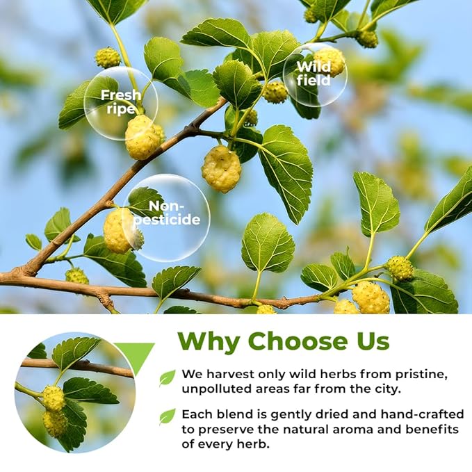 4 oz. White Mulberry Tea Mulberry Leaf Herbal Tea (Morus Alba) - 113g Herb Hoja De Morera