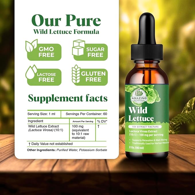 Amazing Botanicals Wild Lettuce 10X Extract Tincture - Alcohol-Free Liquid Extract, Organic Wild Lettuce (Lactuca Virosa) Dried Herb Extract Natural Herbal Supplement (2oz / 60ml, Wild Lettuce)