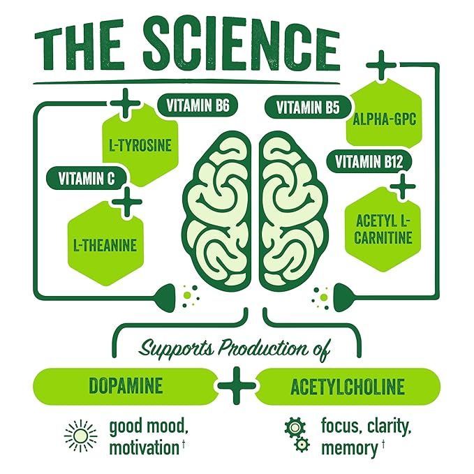 BrainJuice Brain Health Support Drink for Energy & Focus, Vitamin C, B5, B6 & B12, L Theanine, Alpha GPC & Natural Caffeine from Green Tea, Vegan, Gluten Free, Tisara Classic Tea, 12 Oz Can, 6 Pack