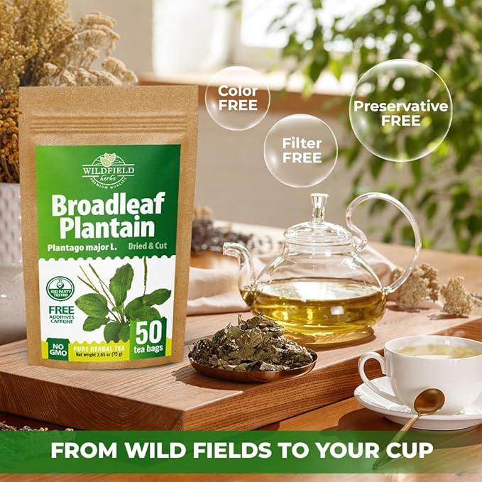 50 Bags Broadleaf Plantain Leaf Herb Tea (Plantago Majoris Folia) Plantain Leaves Tea - 50 Count 1.5 g Bags Llanten