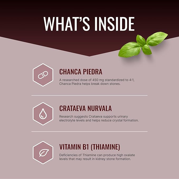 Approved Science Stonexyl - Herbal Support for Kidney Stones - 60 Capsules - Chanca Piedra - High Absorption -1 Month Supply - Vegan