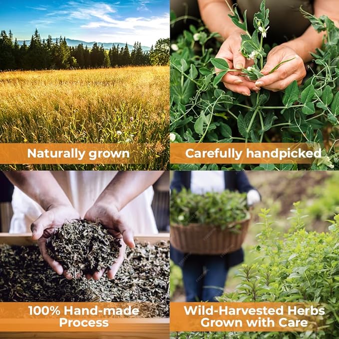 50 Bags Calendula Tea Dried Calendula Flowers Herb Herbal Tea - 50 Count 1.5 g Flower Herb