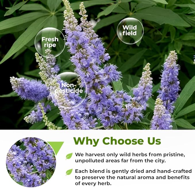 4 oz. Chaste Tree Berry Сhasteberry Tea Chaste Tree Berry Tea Herb (Vitex Agnus-Castus) - 113g Herbal Vitex Sauzgatillo