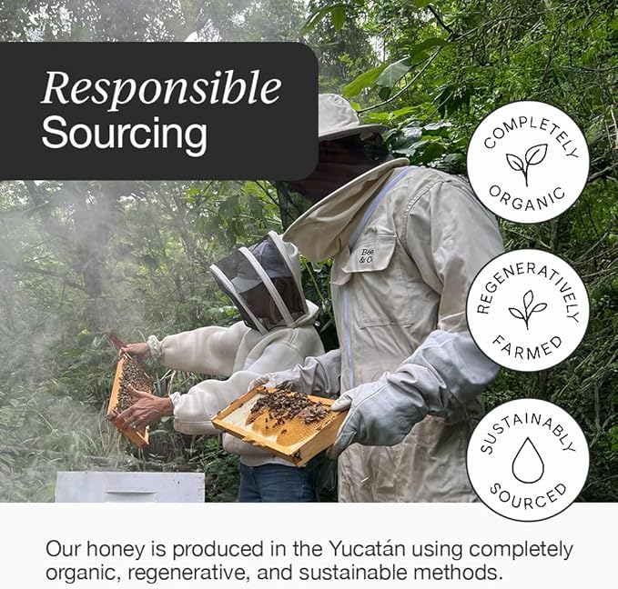 HNY+ Buzz Organic Honey Energy Gel with Electrolytes, Magnesium, Sea Salt, Potassium & Green Tea Caffeine, Gluten Free & Vegan, Workout Gels, for Gym, Running & Hiking, 50mg Caffeine, 12 Pack