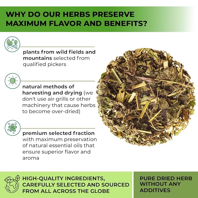 100 Bags Nettle Leaf Tea Ortiga Dried Nettle Herb Planta Bulk (Urtica Dioica) - 100 Count 1.5g Tea Bags Herb Hojas De Ortiga