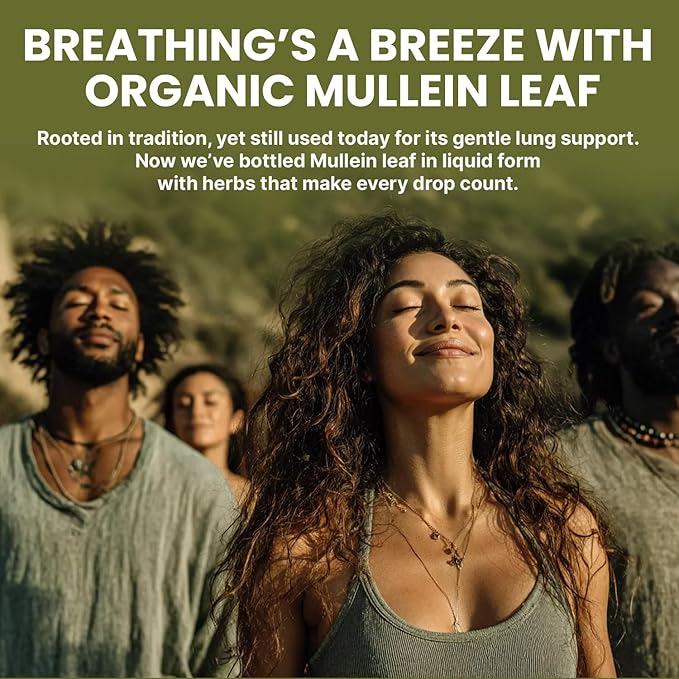 5-in-1 Mullein Drops for Lungs and Bronchial - Respiratory Lung Health Support with Mullen Leaf Extract for Lungs - Mullein Tincture with Elderberry, Echinacea and Ginger Root (60 Servings) (2-pack)