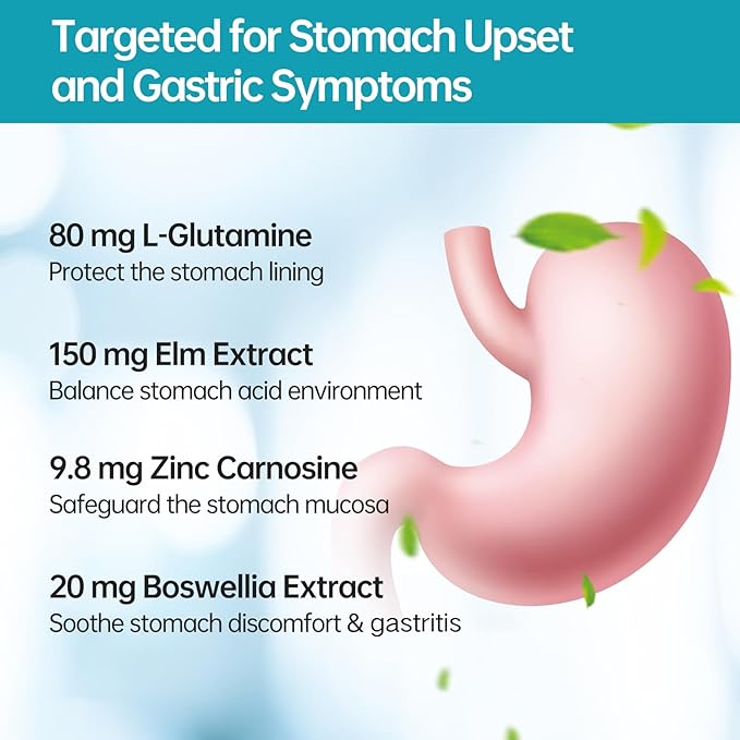 5 in 1 High Potency H. Pylori Treatment Probiotics - Gastritis Support - 1 Per Day - Pylopass Lactobacillus Reuteri DSM17648 - No Refrigeration Needed - Made in Germany