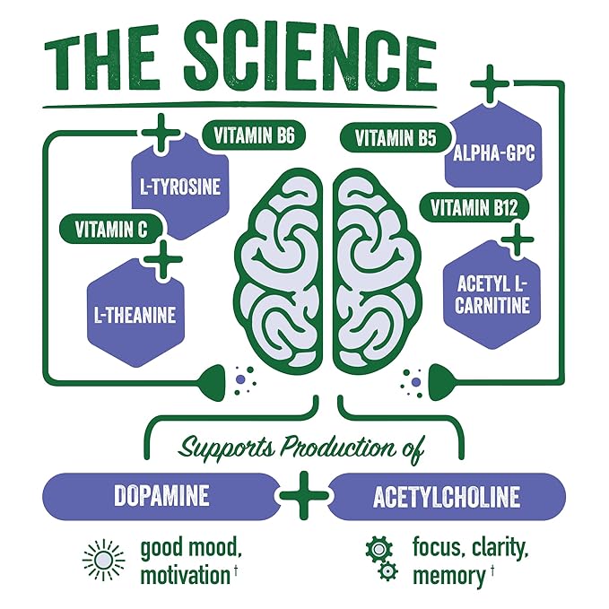 Brainjuice Brain Health Support Drink for Energy & Focus, Vitamin C, B5, B6 & B12, L Theanine, Alpha GPC & Natural Caffeine From Green Tea, Vegan, Gluten Free, Lavender Dragon Fruit, 12 Oz Can, 6 Pack