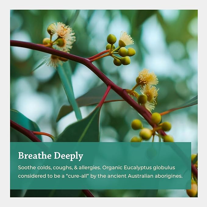 Silk Road Organic Eucalyptus Essential Oil Roll On, USDA Certified - Respiratory Health, Colds, Cough, Sinus & Allergy Congestion - 10 ml Aromatherapy Roller - Always Pure, Always Organic