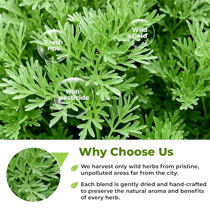 4 oz. Wormwood Tea Wormwood Herb Dried Herb Tea (Artemisia Absinthium) - 113g Dry Wood Worm Artemisiae Absinthii Herba Artemisa Ajenjo Hierba