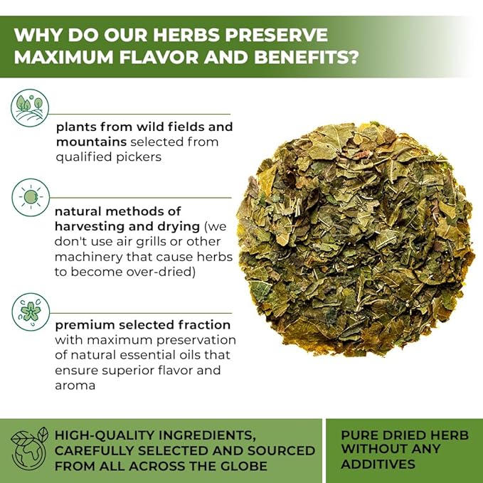 50 Bags White Mulberry Tea Mulberry Leaf Herbal Tea (Morus Alba) - 50 Count 1.5g Bags Herb Hoja De Morera