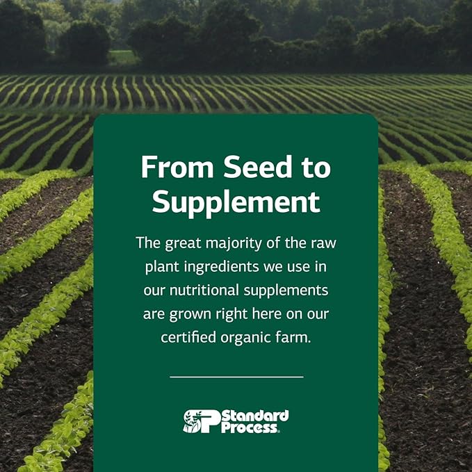 Standard Process Inc. Cataplex B2 - Whole Food Nervous System Supplements, Metabolism, Brain Supplement and Liver Support with Calcium Lactate, Riboflavin, Wheat Germ, Choline - 90 Tablets