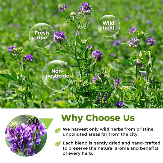 4 oz Alfalfa Leaf Alfalfa Herb Tea (Medicago Sativa) - 113g Tea Bags Herbal