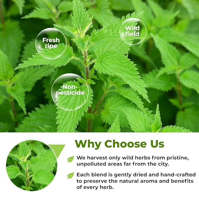 4 oz. Dried Nettle Leaf Tea Ortiga Planta Nettle Herb Bulk Stinging Nettle Leaf Herb Tea (Urtica dioica) - 113g Stinging Nettle Leaves Herbal Tea ortiga verde te