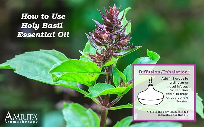 Organic Holy Basil (Tulsi) Essential Oil; 100% Pure and Undiluted Ocimum Sanctum; Premium Quality Aromatherapy Oil; Tested and Verified, Size: 10 mL (0.34 Fl. Oz.)