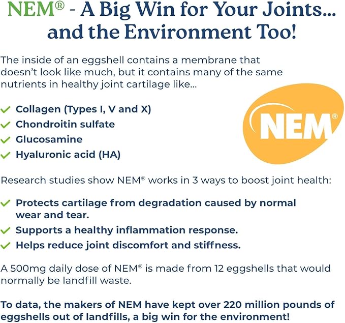 NatureCity True-Joint FLX Joint Supplement Formula (120 Capsules) | TamaFlex, NEM Eggshell Membrane, Levagen+ PEA & CuberUp | Supports Joint Comfort, Flexibility, Mobility, Function & Cartilage Health