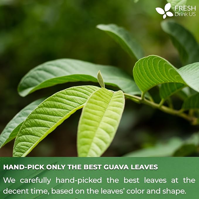 FreshDrinkUS, 6oz Guava Dried Leaves (CUT & SIFTED), 100% Natural & Pure from Dried Guava Leaves, Guava Loose Leaf Tea, No Additives, No Caffeine, Vegan