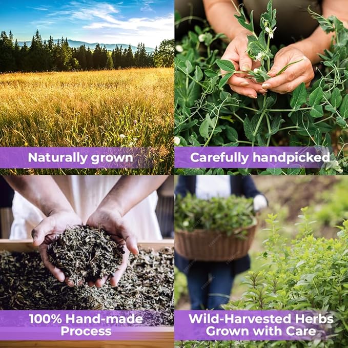 4 oz Alfalfa Leaf Alfalfa Herb Tea (Medicago Sativa) - 113g Tea Bags Herbal