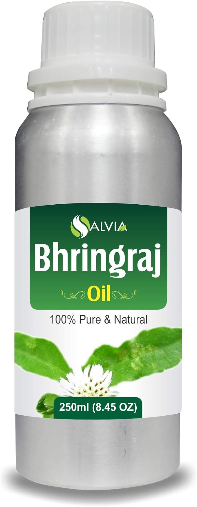Salvia Bhringraj Oil (Eclipta alba) 100% Pure & Natural - Undiluted Uncut Cold Pressed Premium Oil Use for Aromatherapy, Skin Care & Hair - Therapeutic Grade (250 ML (8.45351))