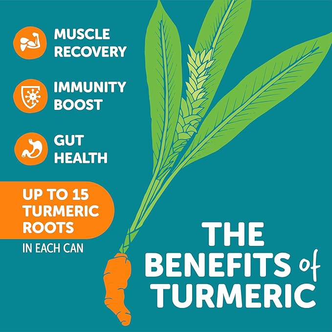 ZYN Turmeric Wellness Drink (6 Pack), Lemon Ginger Flavored Turmeric Curcumin Drink with Black Pepper, No Added Sugar, Low Carb & Low Calorie Drink, Clean Alternative